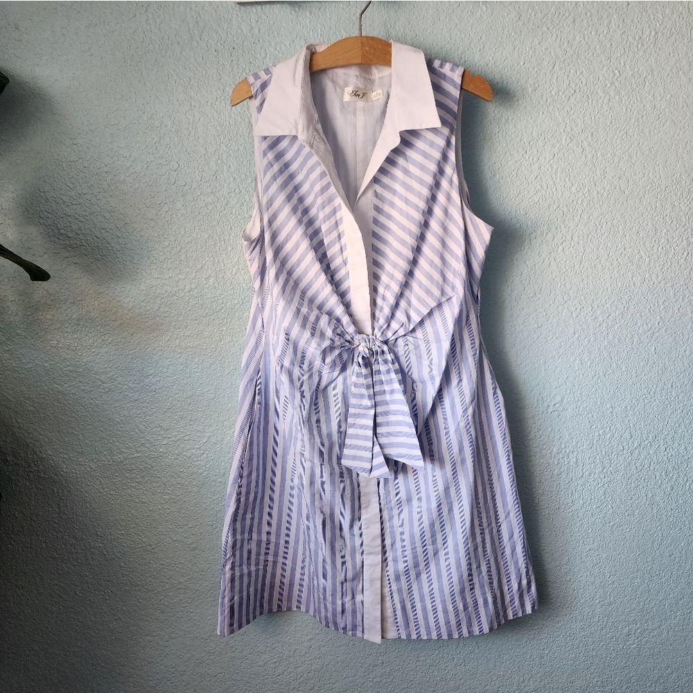 Eliza J Blue and White Buttoned Sundress